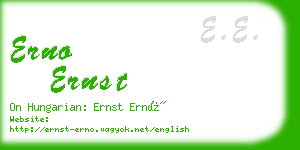 erno ernst business card